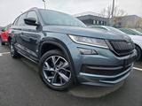 Skoda Kodiaq 2.0 TDI Sportline APP+DAB+AHK+PANO+ALCAN - Skoda Kodiaq in Duisburg