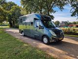 Renault Master Gebrauchter Pferdeanhänger für 2 Pferde,  - Tier- & Pferdetransport für 2 Pferde
