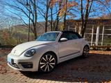 Volkswagen Beetle 1.4 TSI DSG CUP Cabriolet CUP - Volkswagen Beetle: Cup
