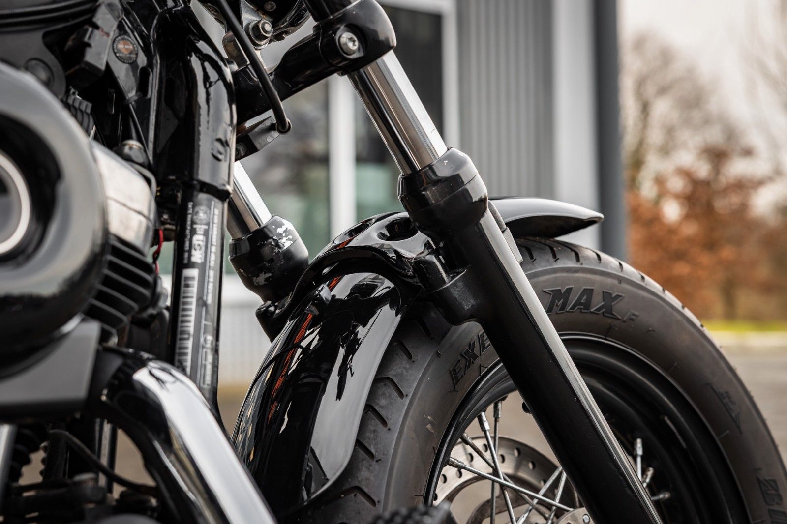 Fahrzeugabbildung Harley-Davidson XL1200X SPORTSTER FORTY-EIGHT - Miller Auspuff -