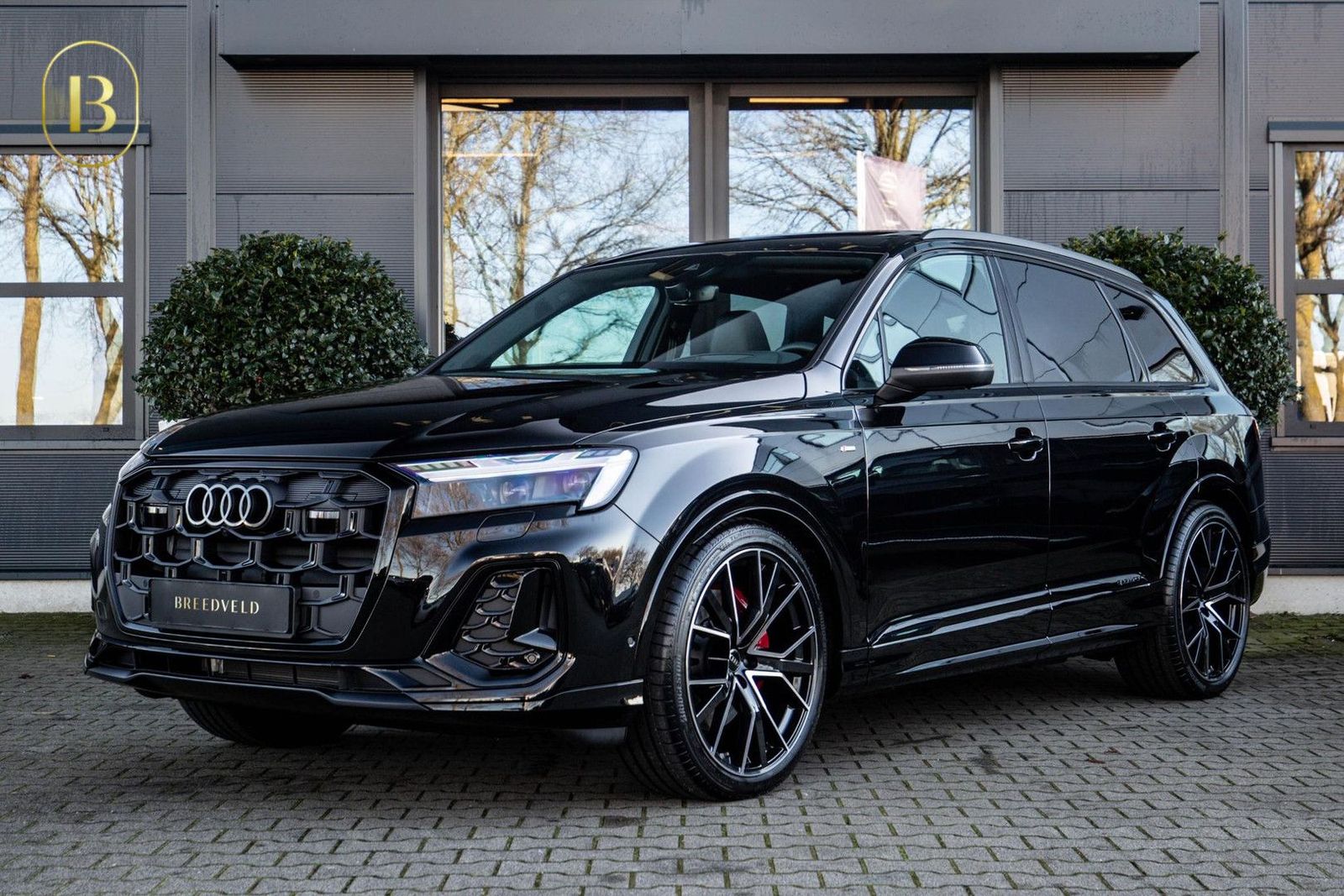 Audi Q7 50 TDI quattro Pro Line Advanced 7p