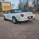 Ford Thunderbird Retro Bird  - Ford Thunderbird: Cabrio