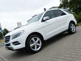 Mercedes-Benz ML 350 CDI BlueTec *Navi-Comand*Bi-Xenon*CAM*SHZ - Mercedes-Benz ML 350 in Nürnberg