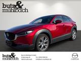 Mazda CX-30 SKYACTIV-D 1.8 6AG AL-SELECTION A18 DES-P  - Mazda CX-30 Diesel Gebrauchtwagen