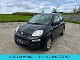 Fiat New Panda 1.2 8V Klima PDC  EURO 6 - schwarze Fiat New Panda