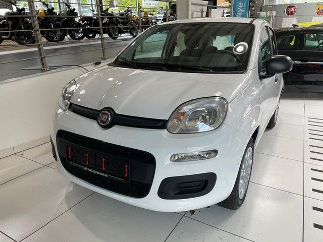 Fiat Panda Pandina Icon 1.0 Mild Hybrid 5-Sitzer