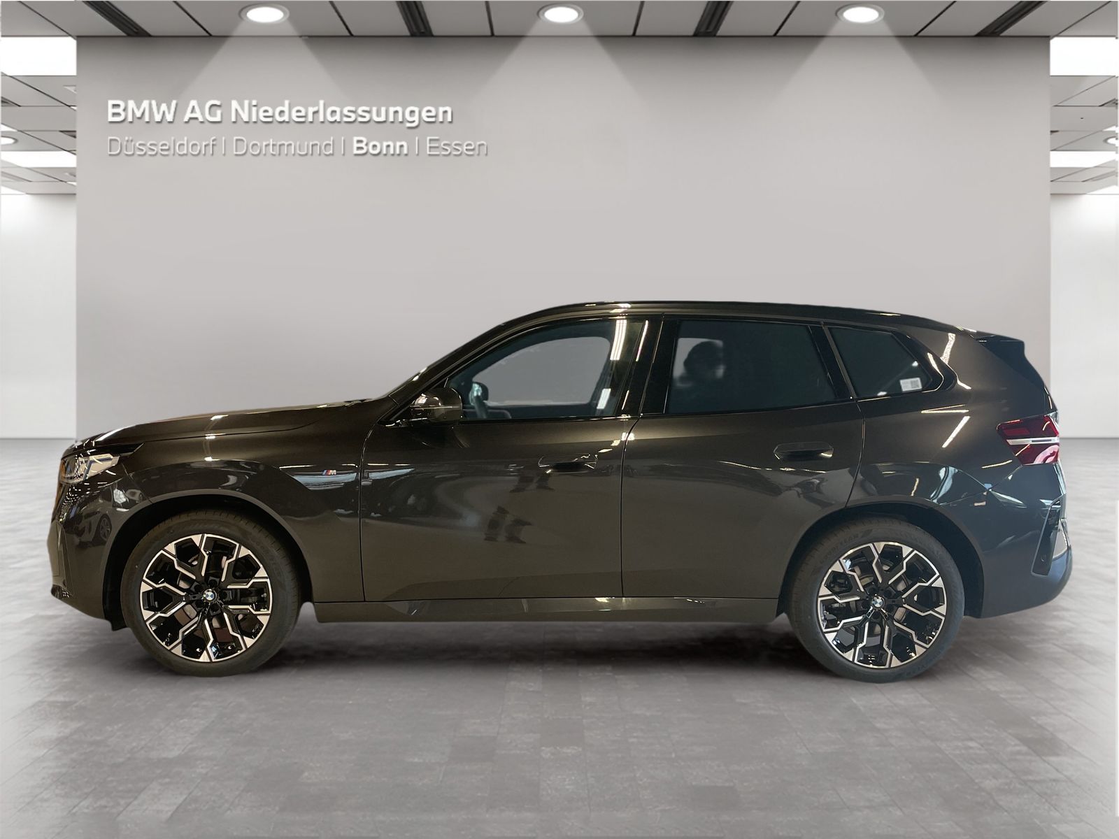 BMW X3 20d xDrive M Sport AHK Driv.Assist Harman K foto 5
