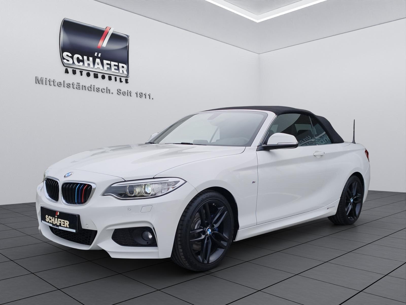 BMW 2 Cabrio 230 i M Sport/Bi-Xenon/Leder/PDC v+h