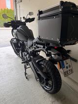 Harley-Davidson Pan America 1250 Spezial Modell 22 - HARLEY-DAVIDSON MODEL