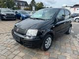 Fiat Panda 1.2 8V *TÜV & Service NEU - Fiat Panda: 2t