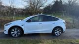 Tesla Model Y Standard Range Hinterradantrieb RWD 