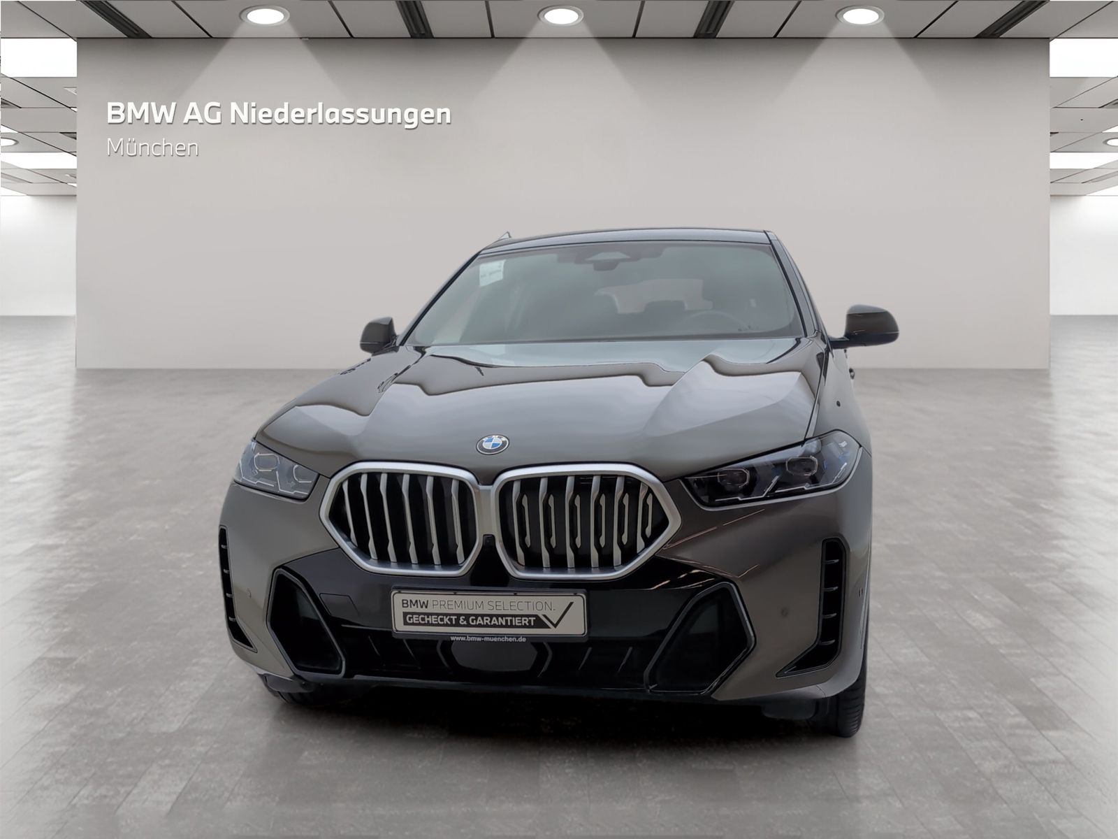 BMW X6 - Bild 4
