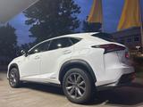 Lexus NX 300h Hybrid E-FOUR F SPORT Premium - Lexus: Sport