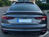 Audi RS5 2.9 TFSI tiptronic quattro Sportback - - Audi RS5 aus 2019