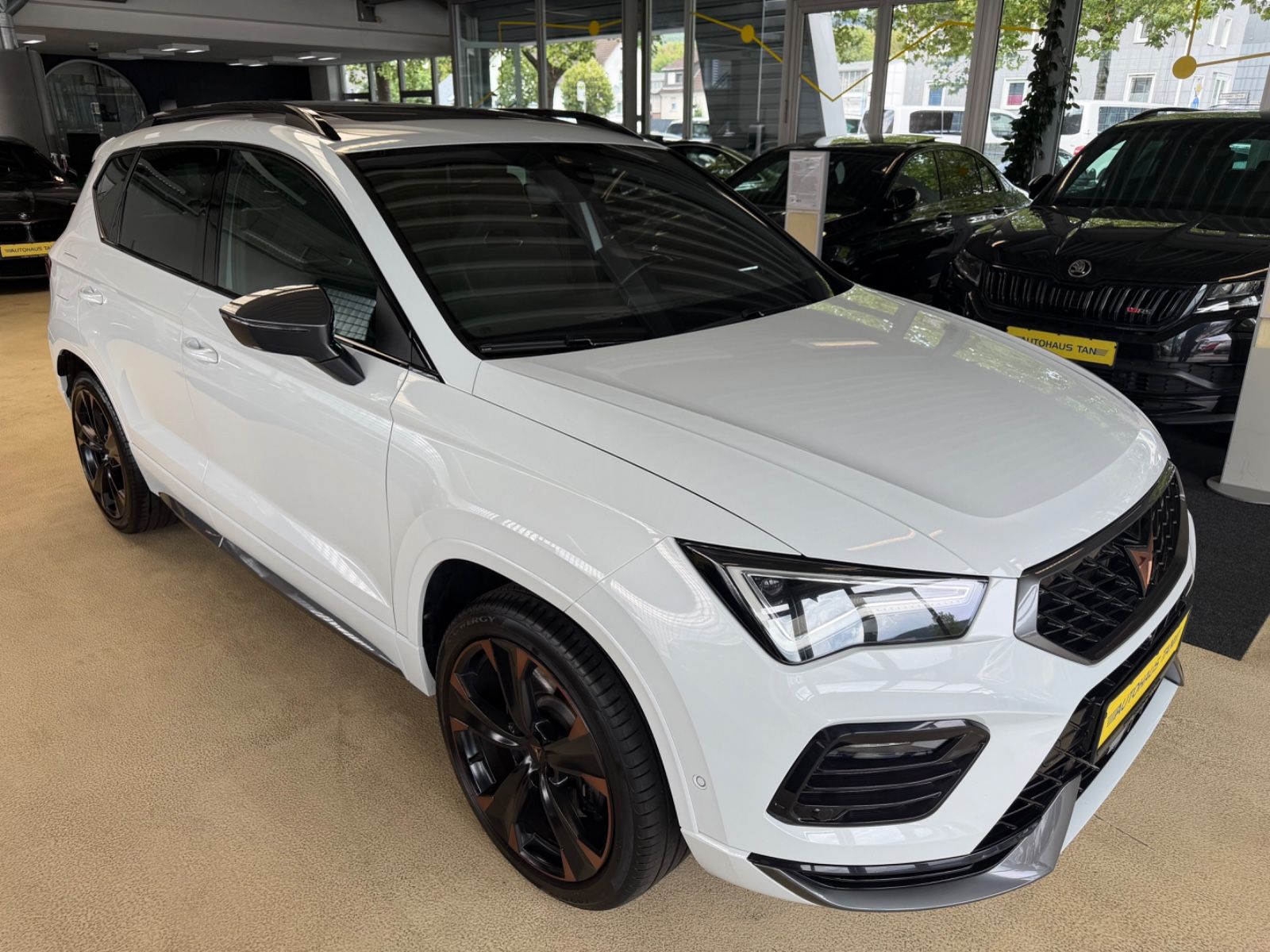 Fahrzeugabbildung CUPRA Ateca 4Drive*Pano