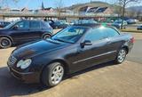 Mercedes-Benz 320 - Mercedes-Benz 320: Cabrio