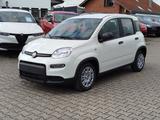Fiat Panda #CityPaket #Tempomat - Fiat Panda Gebrauchtwagen in Mönchengladbach