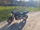 Honda Hornet 600 pc36 - HONDA 2005 HORNET 600