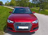 Audi A4 Avant TFSI ultra design +HU neu +Massagesitze - Audi A4: Rot