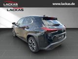 Lexus UX 250h STYLE*FACELIFT*NAVI*CARPLAY*SHZ*LED*GARA - Lexus: Geländewagen