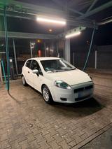 Fiat Punto 1.4 (TÜV Neu) - Fiat Punto in Bochum