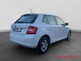 Skoda Fabia Style Green TEC 1.2TSI 8-Fach bereift - Skoda Fabia: Fabia2