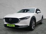 Mazda CX-30 Selection 2WD HUD #NAVI #S&S #BOSE #LED