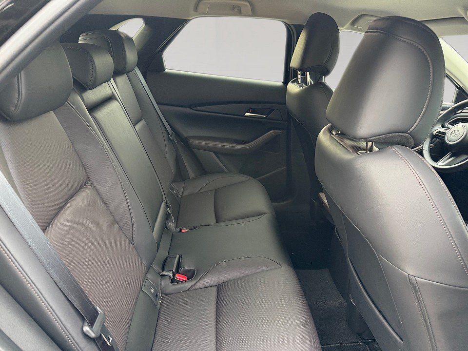 Fahrzeugabbildung Mazda CX-30 2.0i X 186ps 6AT Takumi BLOP