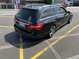 Mercedes-Benz E 63 AMG E 63 T AMG AMG - Mercedes-Benz E-Klasse: 63