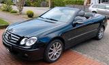 Mercedes-Benz Mercedes a209 CLK 320 CDI Cabrio - gebrauchte Mercedes-Benz CLK 320 aus dem Jahr 2008