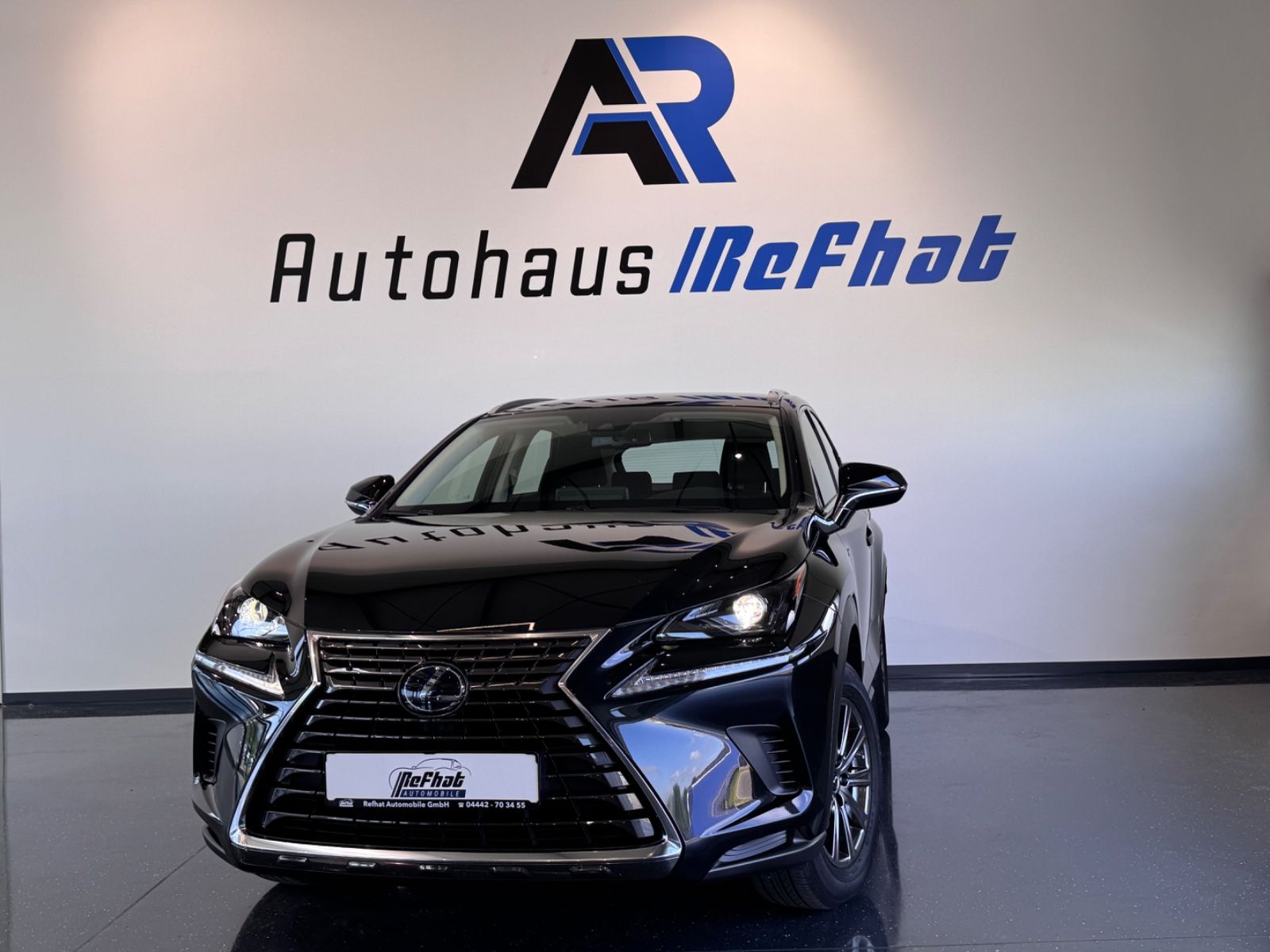 LEXUS NX 300