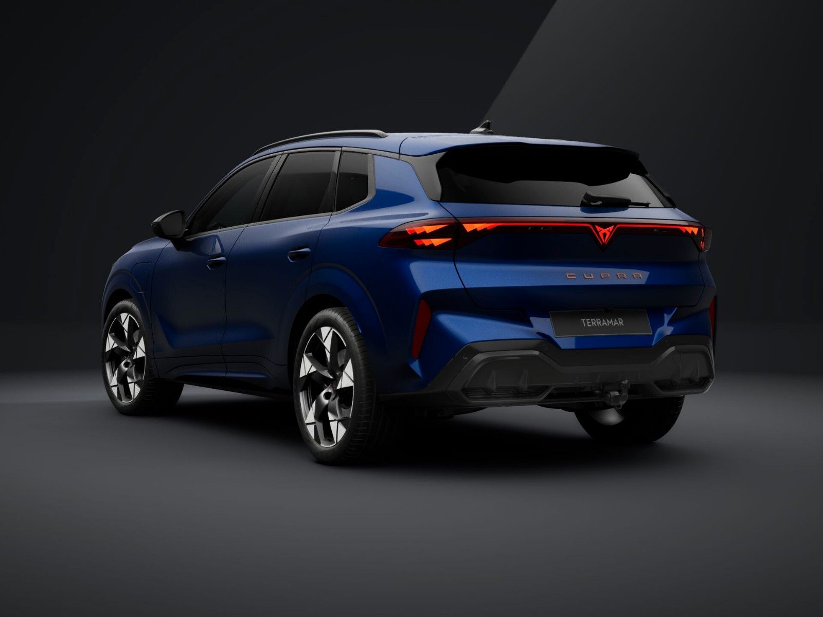 Cupra Terramar - Bild 3