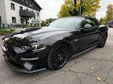 Ford Mustang GT Cabrio/B&O/Sitzbelüft/Kamera - Ford Mustang in Hagen