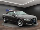 Audi A5 Cabriolet 1.8 TFSI °BI-XENON°NAVI°LEDER°SHZ - Audi aus 2010: Cabrio
