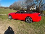 Ford Mustang - gebrauchte Ford Mustang aus dem Jahr 2013