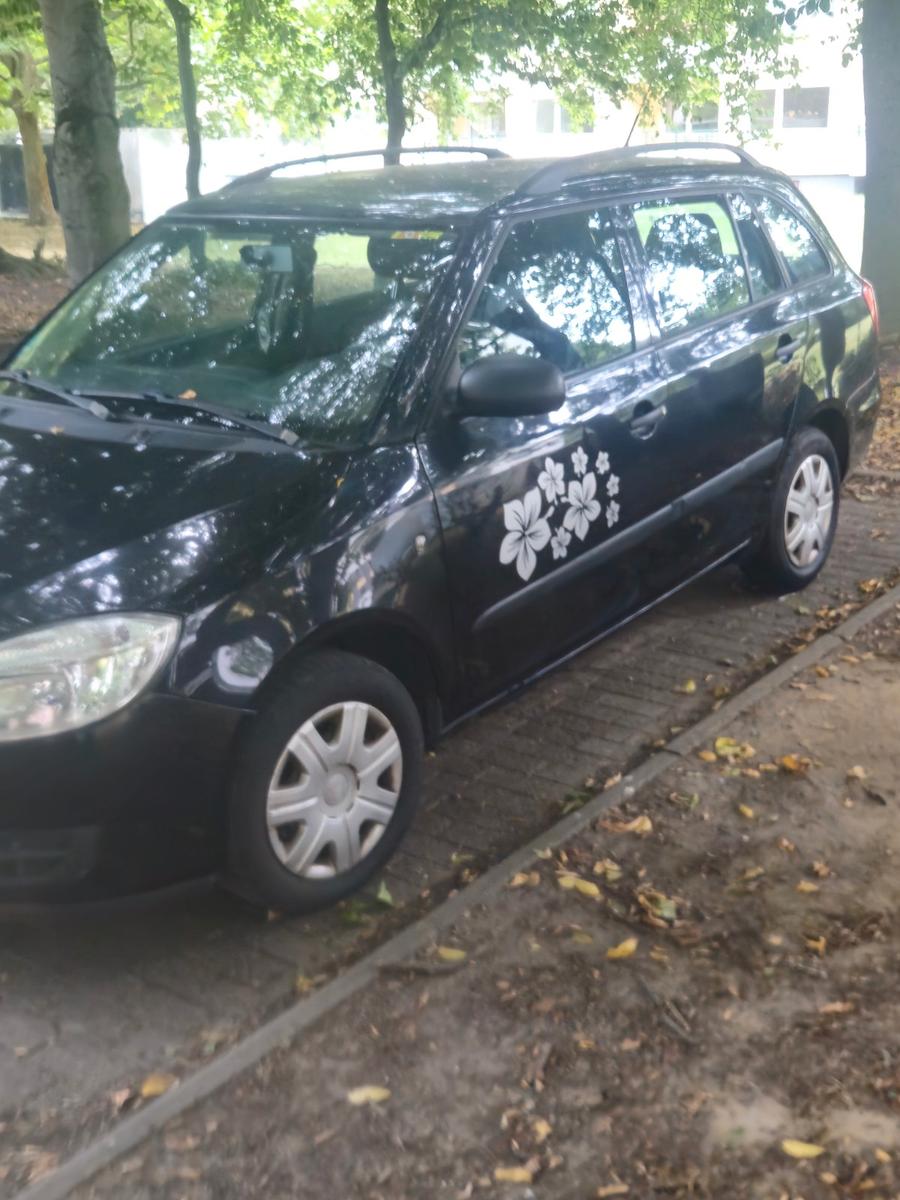 Skoda Fabia 2009 — photo 7