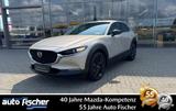 Mazda CX-30 2.0 (186PS) AWD Autom. Homura Pre-P Sitzhe - Mazda CX-30: Homura