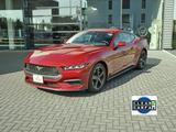 Ford Mustang EcoBoost unfallfrei! - gebrauchte Ford Mustang aus dem Jahr 2024