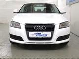 Audi A3 1.6 Attraction, Xenon, Sitzheizung, Alu - Audi A3 mit Benzin-Antrieb: 1.6