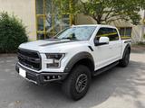 Ford Raptor F150 3.5L V6 FACELIFT NAVI PANO KAMERA - Ford Raptor: 150