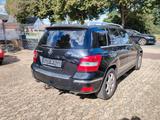 Mercedes-Benz GLK 250 CDI BlueEfficiency / Panorama / - Mercedes-Benz GLK 250 aus 2012