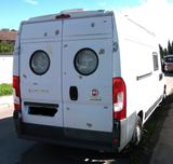 Fiat Ducato 2.3 Multijet Wohnmobil Eigenausbau - Fiat Wohnmobil oder -wagen Ducato Wohnwagen