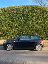 MINI COOPER, Wired, Chili, 1.Hd, Leder,Navi, Panorama - MINI Cooper: Chili