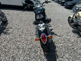 BMW R 850 C BMW 259 C ABS KOFFER SCHEIBE - Offers matching your search criteria