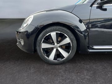 Volkswagen Beetle - 9