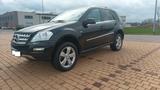 Mercedes-Benz ML 300 CDI 4MATIC BlueEFFICIENCY - - gebrauchte Mercedes-Benz ML 300 aus dem Jahr 2010