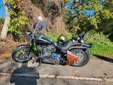 Harley-Davidson FXSTSS - Harley-Davidson Motorräder in Mannheim