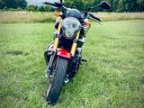 Yamaha MT01-SP - Sondermodell, Sammlerzustand - YAMAHA MOTORRAD