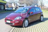 Fiat FIAT Punto 1.2 8V 5 porte Lounge - Fiat Punto: Rot