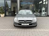 Mercedes-Benz SLK 200 SLK Roadster  BlueEfficiency Edition 1 - Mercedes-Benz SLK 200: Blueefficiency